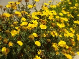 ../thumbnails/038-039.jpg.small.jpeg