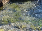 ../thumbnails/040-041.jpg.small.jpeg