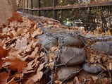 ../thumbnails/048-049.jpg.small.jpeg