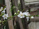 ../thumbnails/057-058.jpg.small.jpeg