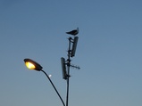 ../thumbnails/094-095.jpg.small.jpeg