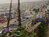 ../thumbnails/100-101.jpg.small.jpeg