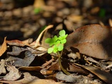../thumbnails/126-127.jpg.small.jpeg