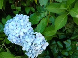 ../thumbnails/146-147.jpg.small.jpeg