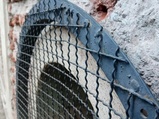 ../thumbnails/149-150.jpg.small.jpeg