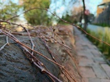 ../thumbnails/175-176.jpg.small.jpeg