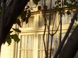 ../thumbnails/182-183.jpg.small.jpeg