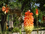../thumbnails/208-209.JPG.small.jpeg