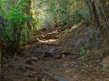 ../thumbnails/215-216.JPG.small.jpeg