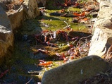 ../thumbnails/216-217.JPG.small.jpeg