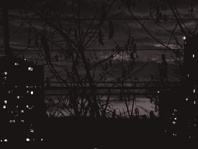 ../previews/145-146.jpg.medium.jpeg