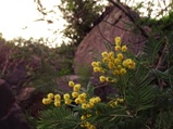 ../thumbnails/037-038.jpg.small.jpeg