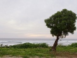 ../thumbnails/038-039.jpg.small.jpeg