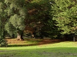 ../thumbnails/057-058.jpg.small.jpeg