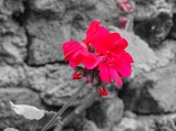 ../thumbnails/074-075.jpg.small.jpeg