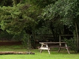 ../thumbnails/080-081.jpg.small.jpeg