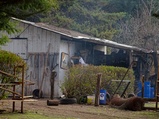 ../thumbnails/092-093.jpg.small.jpeg