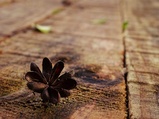../thumbnails/114-115.jpg.small.jpeg