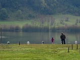 ../thumbnails/118-119.jpg.small.jpeg