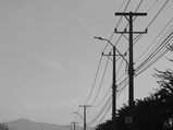 ../thumbnails/165-166.jpg.small.jpeg
