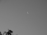 ../thumbnails/169-170.jpg.small.jpeg