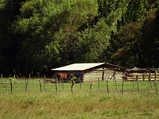thumbnails/004-005.jpg.small.jpeg