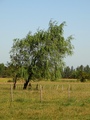 thumbnails/005-006.jpg.small.jpeg