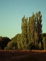 ../thumbnails/021-022.jpg.small.jpeg