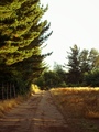 ../thumbnails/023-024.jpg.small.jpeg