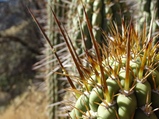 ../thumbnails/027-028.jpg.small.jpeg