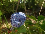 ../thumbnails/054-055.jpg.small.jpeg
