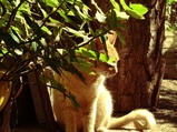 ../thumbnails/055-056.jpg.small.jpeg