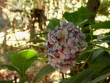 ../thumbnails/056-057.jpg.small.jpeg