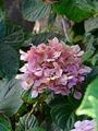../thumbnails/059-060.jpg.small.jpeg