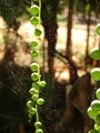 ../thumbnails/060-061.jpg.small.jpeg