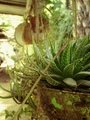 ../thumbnails/061-062.jpg.small.jpeg