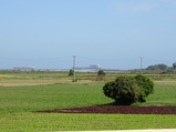 ../thumbnails/076-077.jpg.small.jpeg