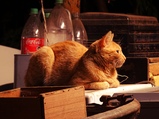 ../thumbnails/088-089.jpg.small.jpeg