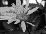 ../thumbnails/092-093.jpg.small.jpeg