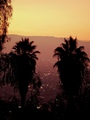 ../thumbnails/096-097.jpg.small.jpeg
