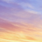 ../thumbnails/062-063.jpg.small.jpeg