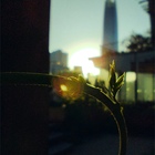 ../thumbnails/098-099.jpg.small.jpeg